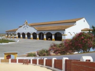 Property in Cadiz